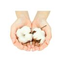 肌ふわり綿　ショート丈ソックス