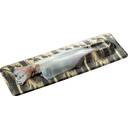 佐賀県呼子のいか姿造り(生食用)