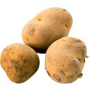 じゃがいも(ニシユタカなど)