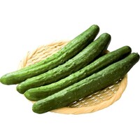 きゅうり