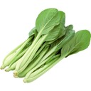 【１２月５週特別配達】小松菜