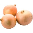 玉ねぎ(栽培自慢)