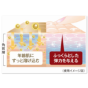 エルベナエクストラ　クリームＥＸ