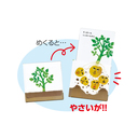 tupera tupera しかけえほん