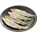 岐阜育ち子持ち鮎(養殖)