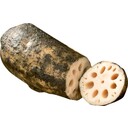 山田さんの鍬掘り土付レンコン(栽培自慢)