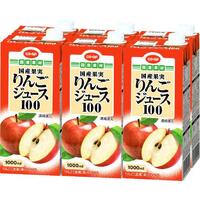 りんごジュース100(混濁タイプ)