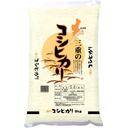 三重のコシヒカリ