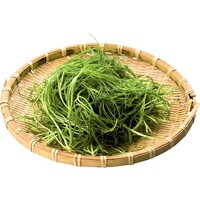 おかひじき(若芽ひじき)