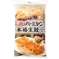 本格生餃子