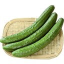 【１２月５週特別配達】きゅうり