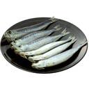 塩屋魚々　愛知県産いわし丸干し