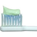 薬用なた豆歯みがき　ミニサイズ