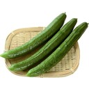 【１２月６週特別配達】きゅうり