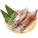 長崎県産　剣先いか(刺身用)