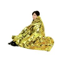 リバーシブル　アルミブランケット
