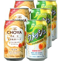 梅酒ソーダ2種セット