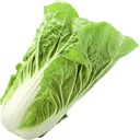 ミニ白菜(栽培自慢)
