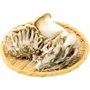 雪国きのこセット