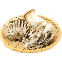 雪国きのこセット