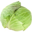 愛知のキャベツ