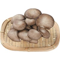 霜降りひらたけ