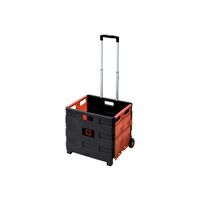 オリコンキャリー　大