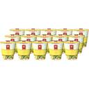 JAL セレクションちゃんぽんですかい