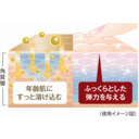 エルベナEX　クリームＥＸ　ミニ