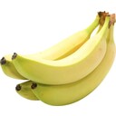 有機栽培バナナ