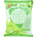 果実のおいしさマスカットアイスバー