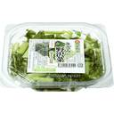 減塩きざみ野沢菜(塩漬)